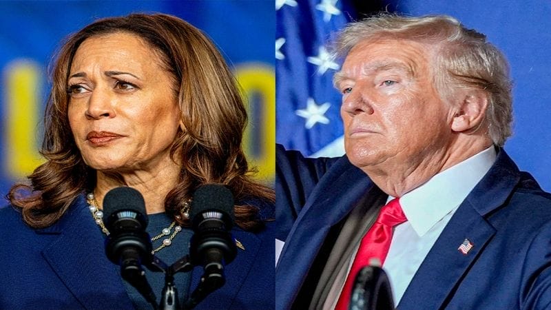 Kamala Harris vs Donald Trump US 2024 presidential election